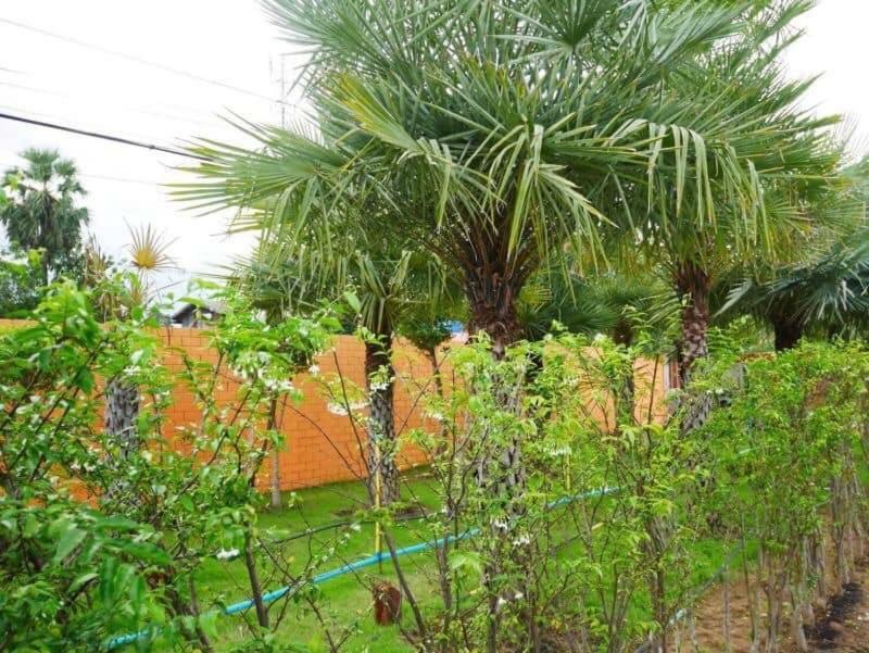 Tinna Resort Ban Nong Mai Ngam 외부 사진